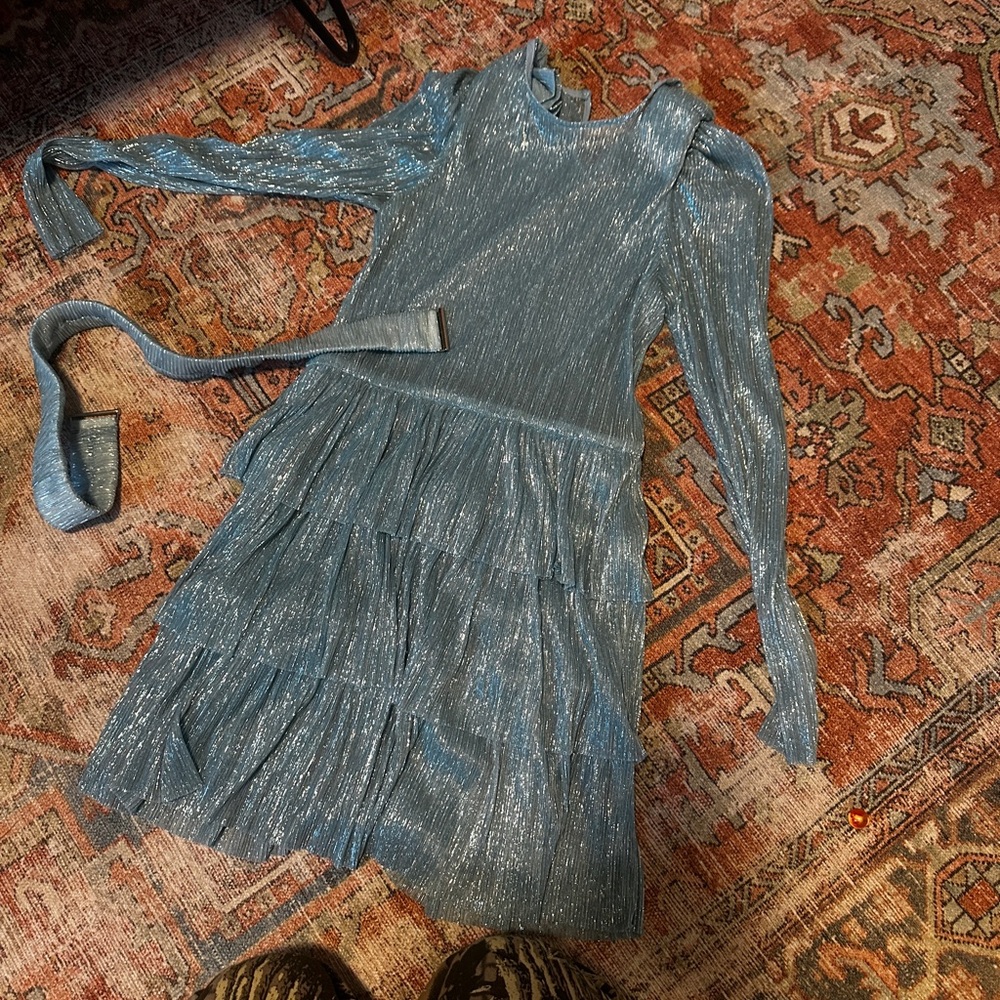 Sabina Musayev Shimmering Silver Long-Sleeve Dress